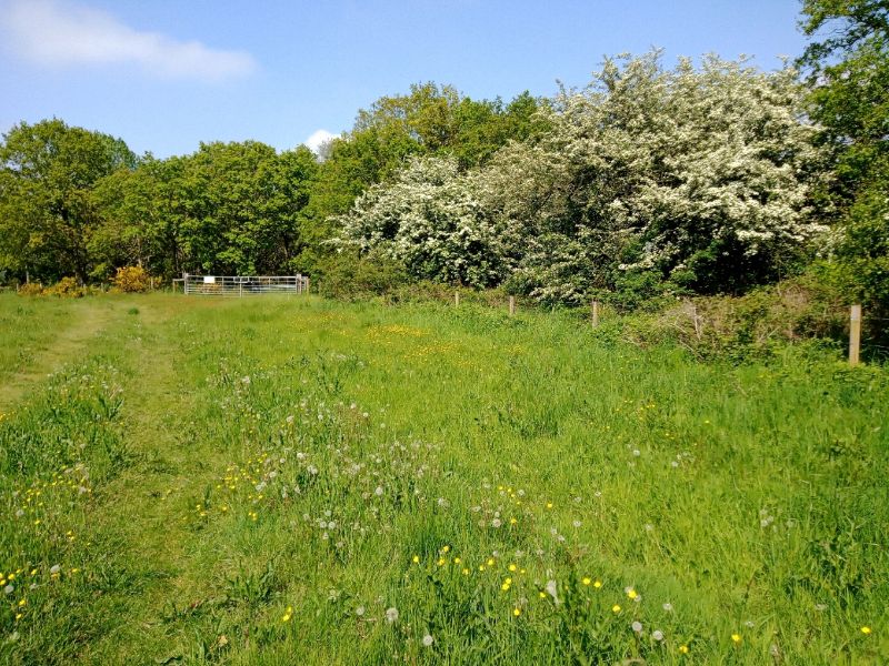 Outney Common, Bungay - Daily walking route